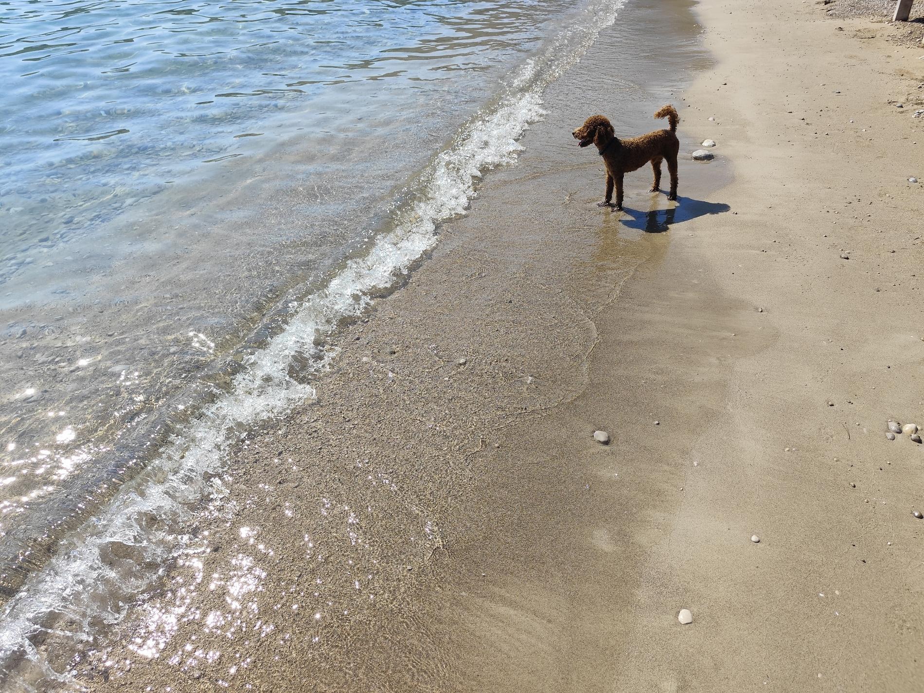 Foto von Mondlichtstrand und die siedlung