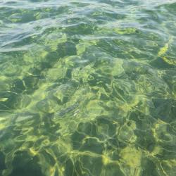 Foto von AVTA Tatil Koyu Iskelesi Plaji - beliebter Ort unter Entspannungskennern