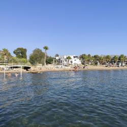 Foto von AVTA Tatil Koyu Iskelesi Plaji teilweise hotelbereich