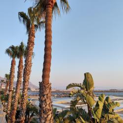 Foto von Arin Beach mit eine gerade küstenlinie