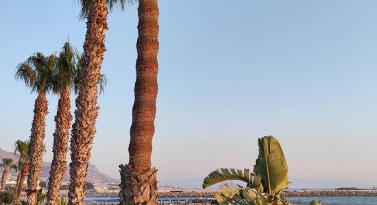 Arin Beach
