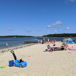 Foto von Megansett Beach mit etwas sauber Sauberkeitsgrad