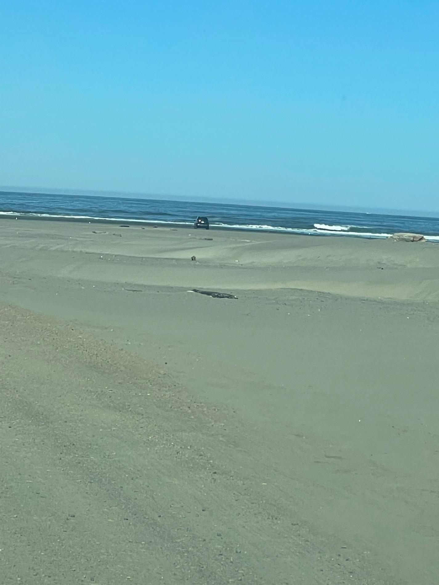 Foto von Ocean Shores Beach - beliebter Ort unter Entspannungskennern