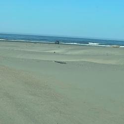 Foto von Ocean Shores Beach - beliebter Ort unter Entspannungskennern