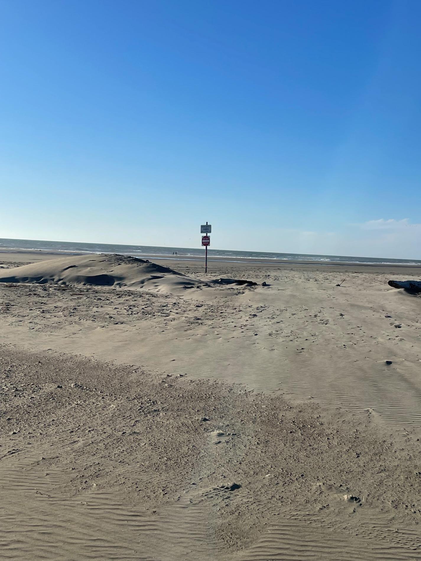 Foto von Ocean Shores Beach - guter haustierfreundlicher Ort für den Urlaub
